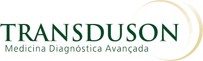 Logo Transduson